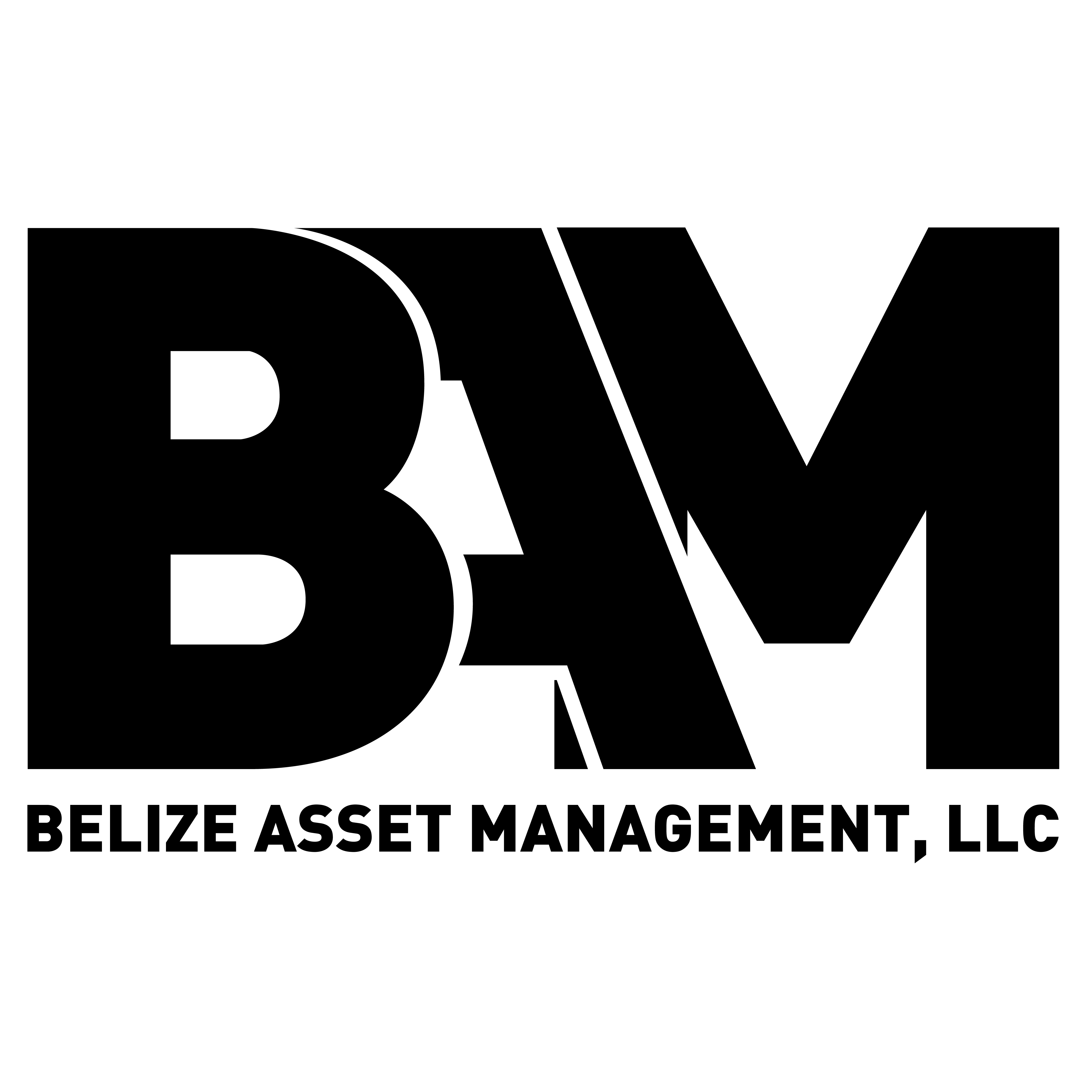 Belize Asset Management
