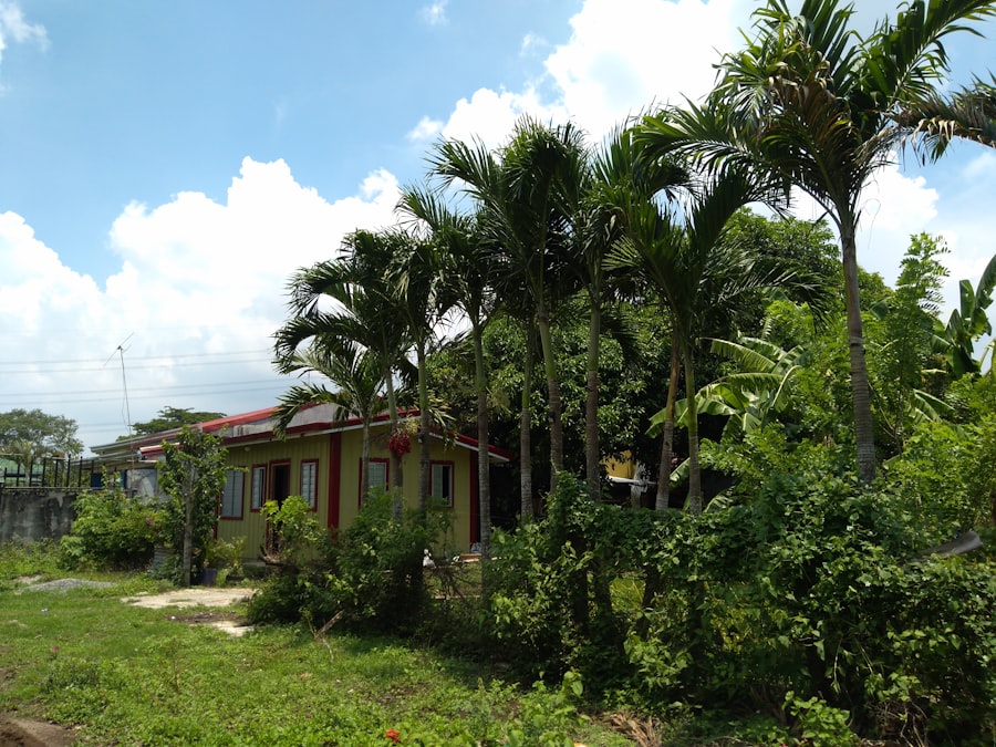 Real Estate in Belize