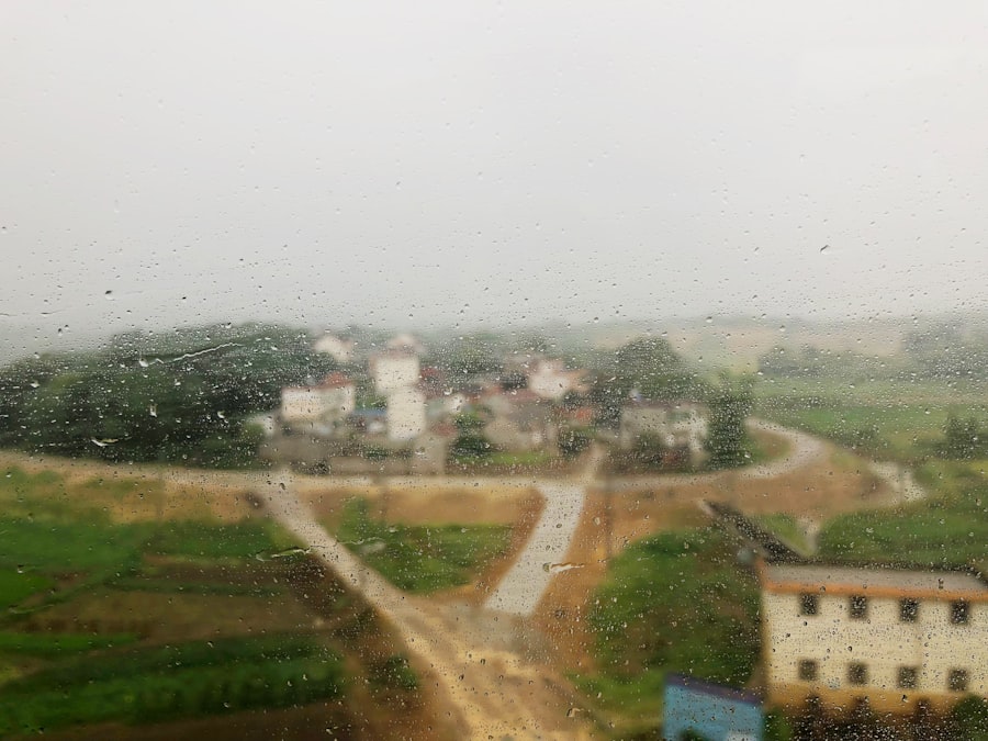 Rainy Season Belize