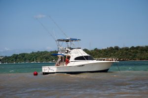 Photo Belize fishing options
