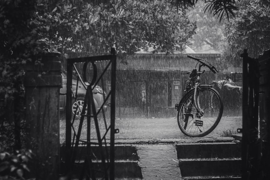Photo Rainy Season Belize