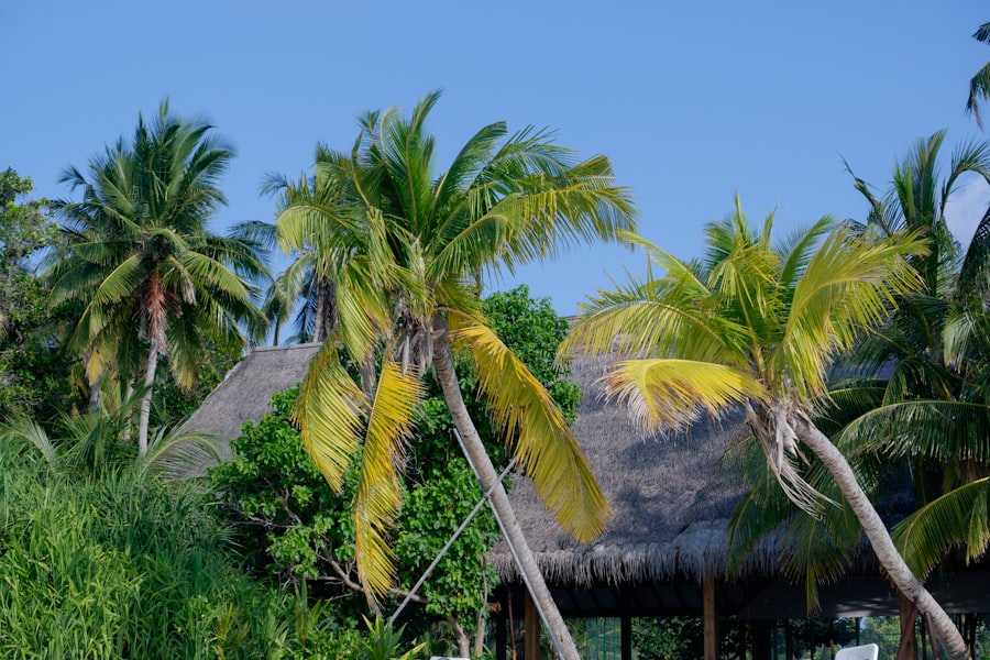 Photo Vacation Home Belize