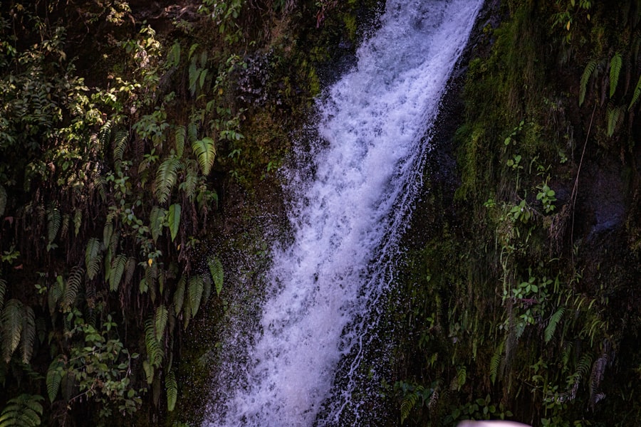 Photo Belize Fall Activities