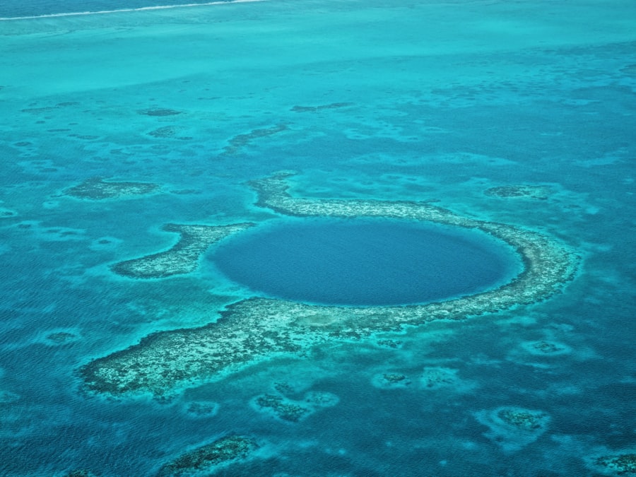 Photo Belize diving