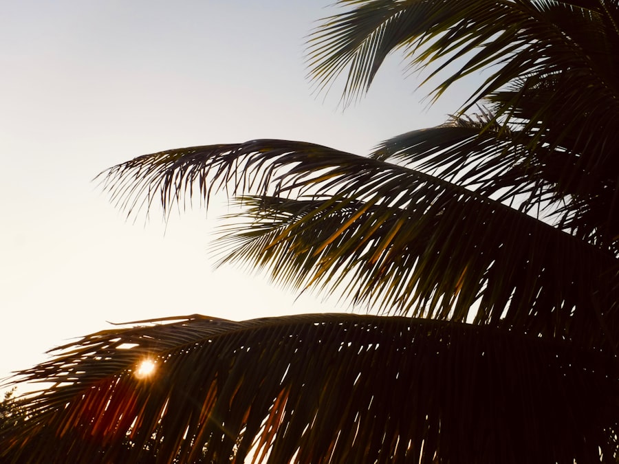 Hurricane Season in Belize