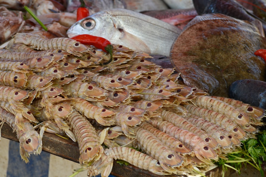 Photo fish species