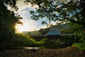 Photo caves branch belize