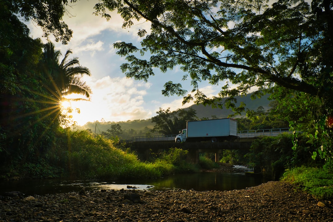 Photo caves branch belize