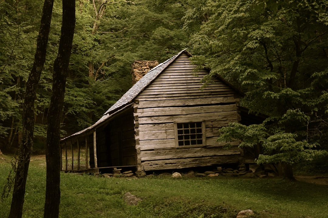 Photo lodge