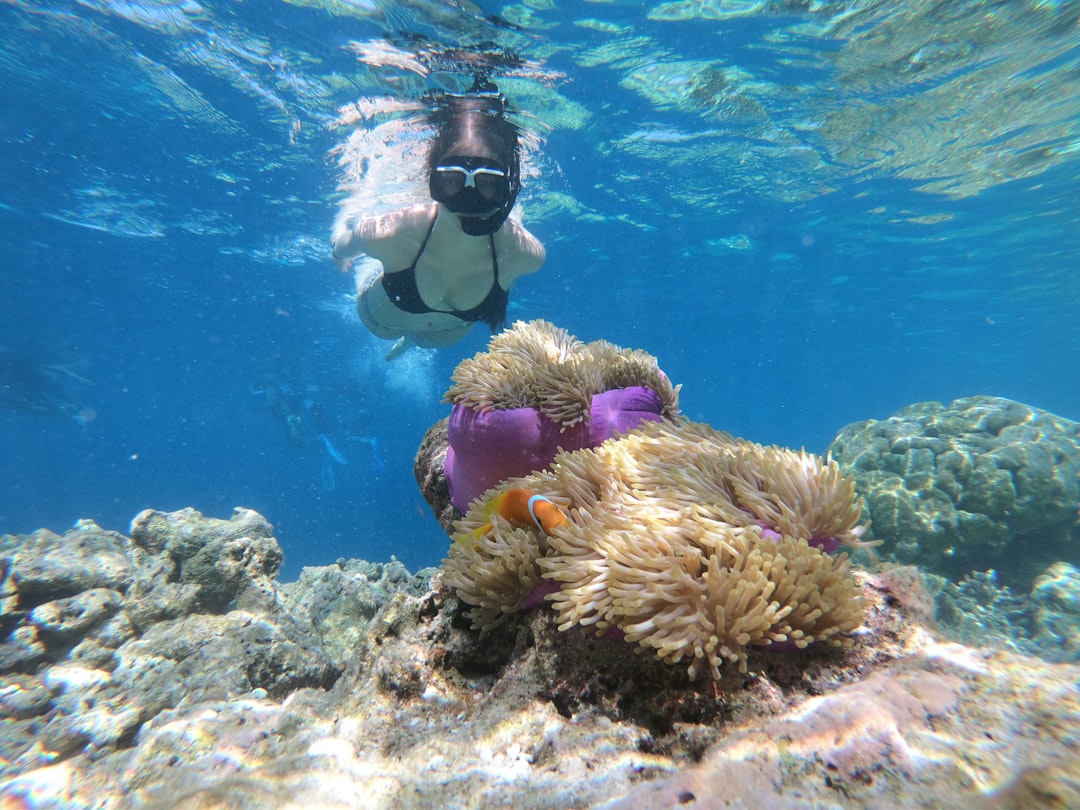 Photo snorkeling