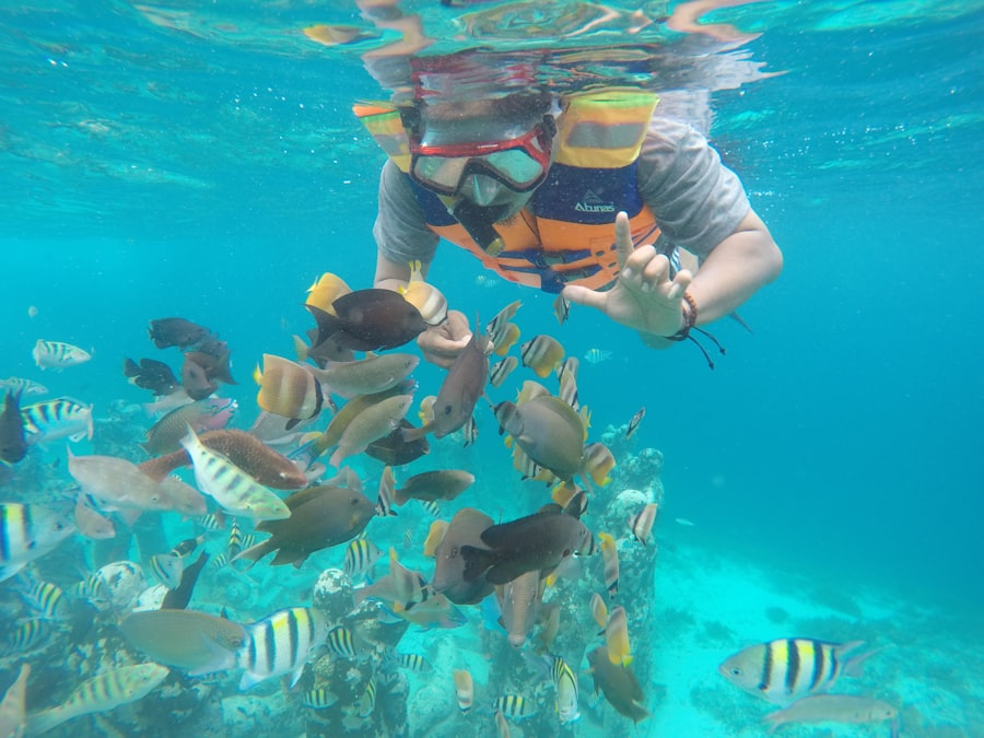 Photo snorkeling